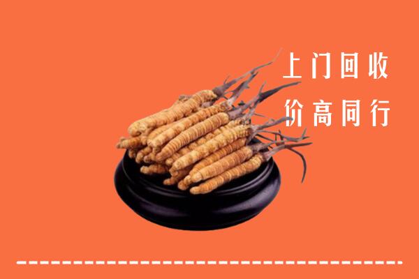 高价求购：白山市回收散虫草