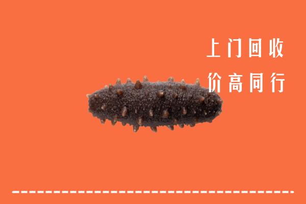 高价求购：白山市回收海参