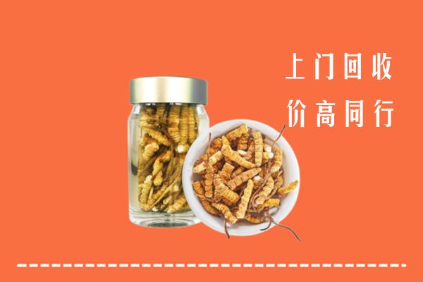 白山市回收冬虫夏草